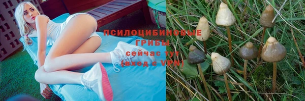 эйфоретик Арсеньев
