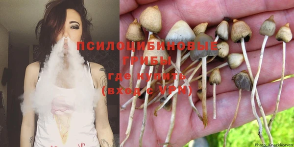 эйфоретик Арсеньев