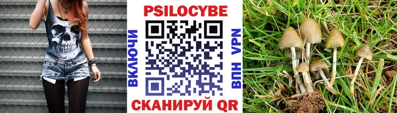 Галлюциногенные грибы Magic Shrooms  Новая Ладога 