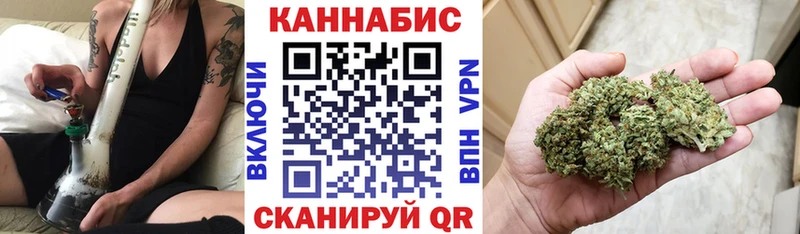 продажа наркотиков  Новая Ладога  Каннабис SATIVA & INDICA 